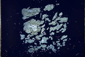 Cross Polarized, S17530