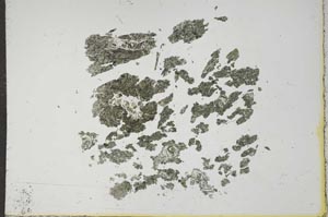 Plane Polarized, S17530