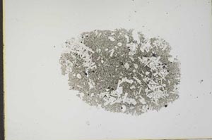 Plane Polarized, S17531