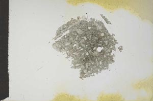 Plane Polarized, S17538