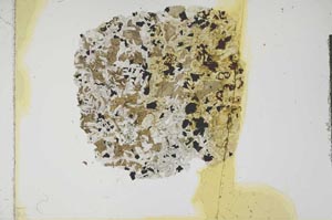 Plane Polarized, S17548
