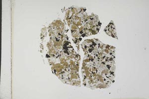 Plane Polarized, S17549