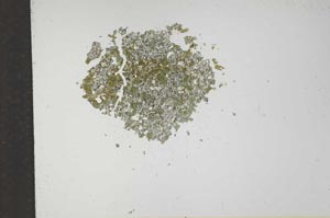 Plane Polarized, S17551