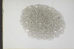Plane Polarized, S17555
