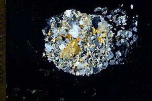 Cross Polarized, S17578