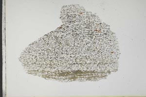 Plane Polarized, S17591