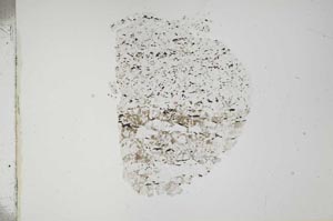 Plane Polarized, S17596