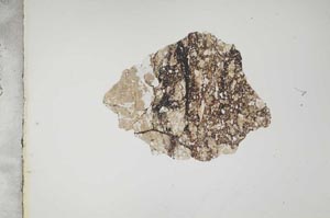 Plane Polarized, S17601
