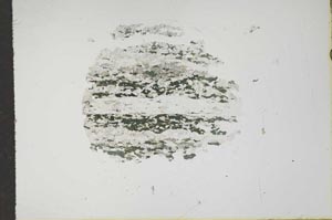 Plane Polarized, S17603