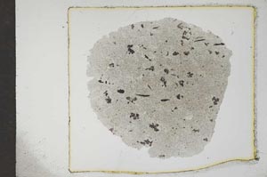 Plane Polarized, S17611