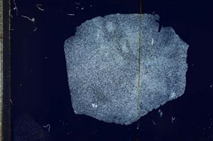 Cross Polarized, S17620