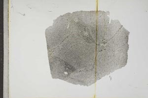 Plane Polarized, S17620
