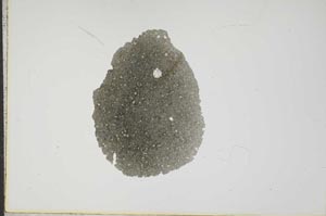 Plane Polarized, S17621