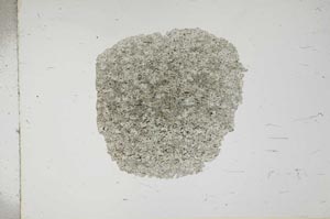 Plane Polarized, S17622