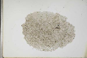 Plane Polarized, S17625