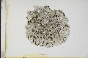 Plane Polarized, S17635