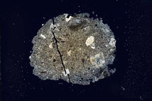 Cross Polarized, S17643