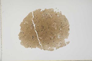 Plane Polarized, S17643