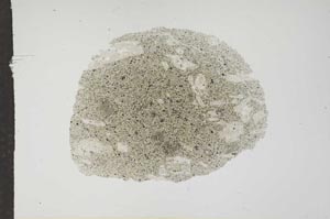 Plane Polarized, S17647