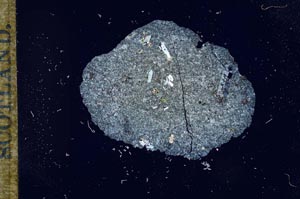 Cross Polarized, S17648