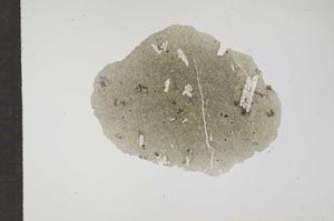 Plane Polarized, S17648