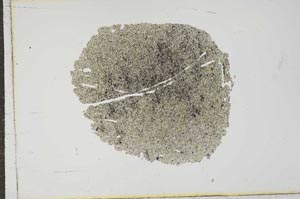 Plane Polarized, S17649