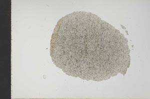 Plane Polarized, S17659