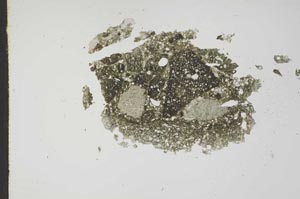 Plane Polarized, S17662