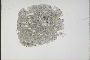 Plane Polarized, S17665