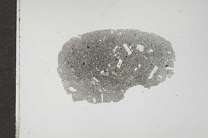 Plane Polarized, S17668