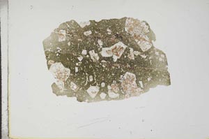 Plane Polarized, S17669