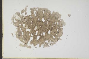Plane Polarized, S17671