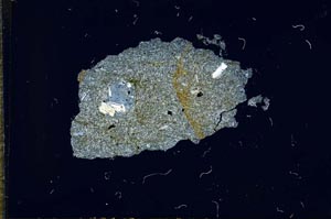 Cross Polarized, S17673