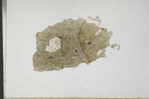 Plane Polarized, S17673