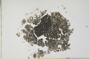 Plane Polarized, S17674