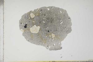 Plane Polarized, S17675