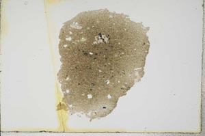 Plane Polarized, S17677