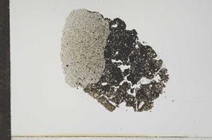 Plane Polarized, S17678