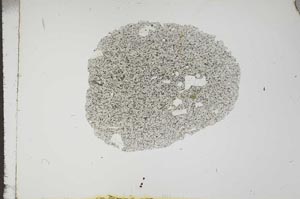 Plane Polarized, S17679
