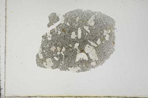 Plane Polarized, S17681