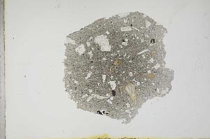 Plane Polarized, S17682
