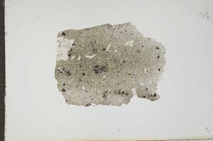 Plane Polarized, S17683