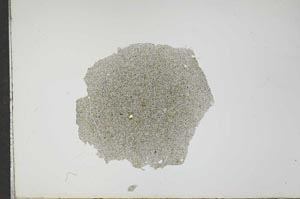 Plane Polarized, S17684
