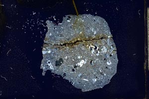 Cross Polarized, S17685