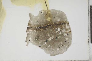 Plane Polarized, S17685