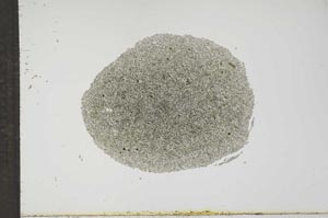 Plane Polarized, S17717