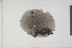 Plane Polarized, S17721