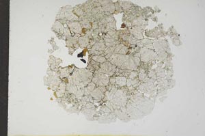 Plane Polarized, S17723