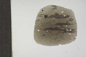 Plane Polarized, S17724