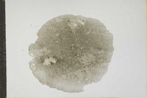 Plane Polarized, S17739
